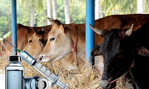 கோப்புப்படம்