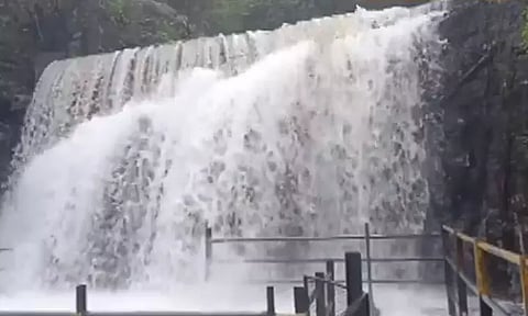 தொடர் மழை காரணமாக சுருளி அருவியில் நீர்வரத்து அதிகரிப்பு - சுற்றுலா பயணிகள் குளிக்க தடை