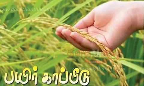 பயிர் காப்பீடு செய்ய கால அவகாசத்தை நீட்டித்தது மத்திய அரசு
