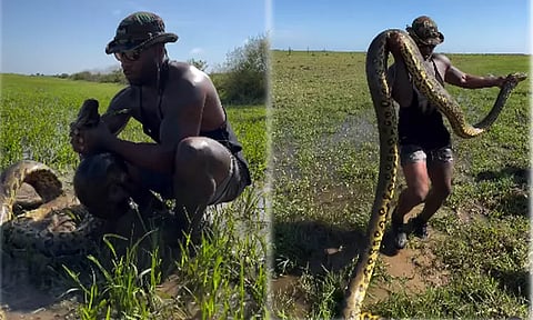 எவ்ளோ பெரிய அனகோண்டா.. வெறும் கைகளால் பிடித்த நபர்: வைரலாகும் வீடியோ