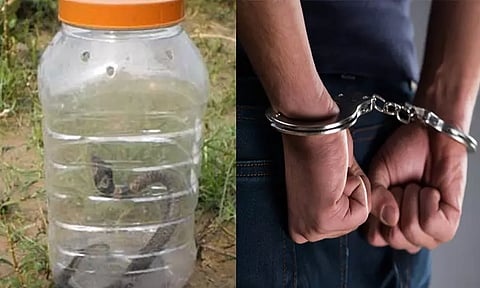 ஒடிசா: பெட்ரூமில் விஷப்பாம்பை விட்டு மனைவி, குழந்தையை கொன்ற கணவன்