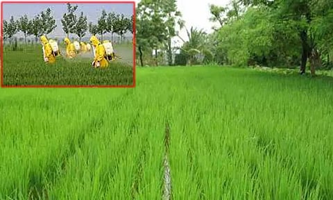 தெலுங்கானாவில் விவசாயிகளுக்கு நிதியுதவி வழங்க தேர்தல் ஆணையம் திடீர் தடை.. ஏன் தெரியுமா?