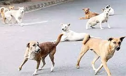 கோப்புப்படம்