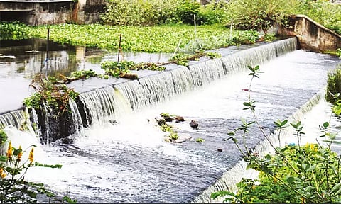 தொடர் மழை: தமிழகத்தில் 1,500 ஏரிகள் முழுமையாக நிரம்பின..!