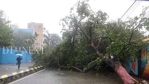 சென்னையில் மீண்டும் மின் வினியோகம் வழங்கப்பட்டு வருகிறது - மின்வாரியம்