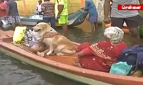 வெள்ளத்தால் பாதிக்கப்பட்ட மக்களுக்கு உதவ தமிழக அரசின் வாட்ஸ் ஆப் எண்கள் அறிவிப்பு