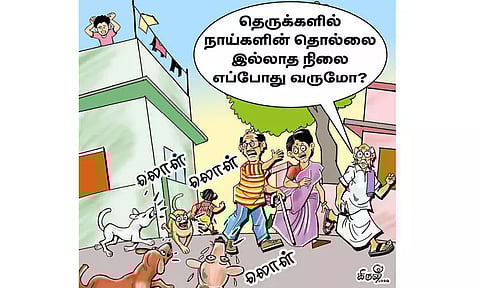 தெருநாய் தொல்லைக்கு எப்போது விடிவுகாலம்?