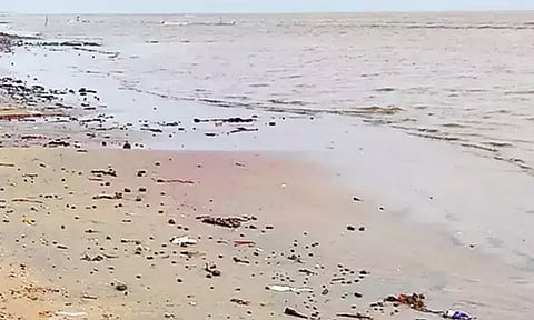 வேதாரண்யத்தில் திடீரென கடல் நீர் உள்வாங்கியதால் மீனவர்கள் அச்சம்