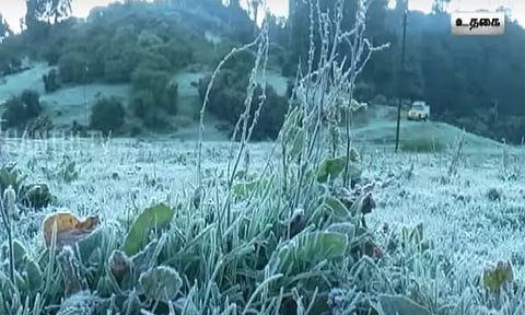 உறைபனி தாக்கம் எதிரொலி: நீலகிரியில் நெருப்பு மூட்டி குளிர்காயும் பொதுமக்கள்