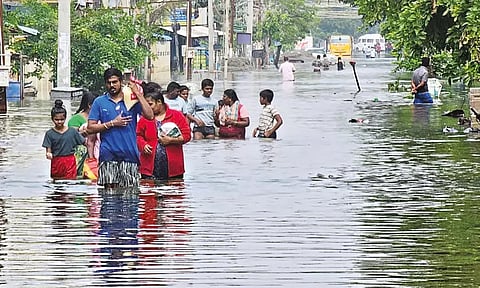 நெல்லையில் கனமழைக்கு இதுவரை 16 பேர் உயிரிழப்பு - மாவட்ட நிர்வாகம் தகவல்