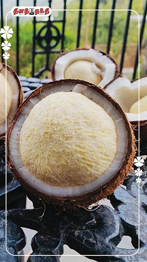 இளமையாக வாழ உதவும் தேங்காய்ப் பூ...!