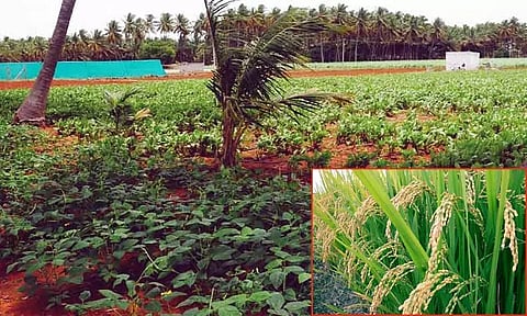 இதுதான் உண்மையான முன்னேற்றம்..!