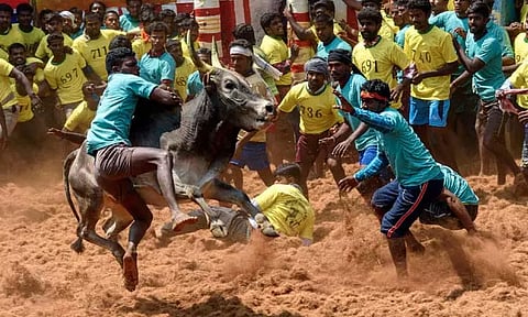 அவனியாபுரம் ஜல்லிக்கட்டு போட்டி: கட்டுப்பாடுகளை விதித்த காவல்துறை