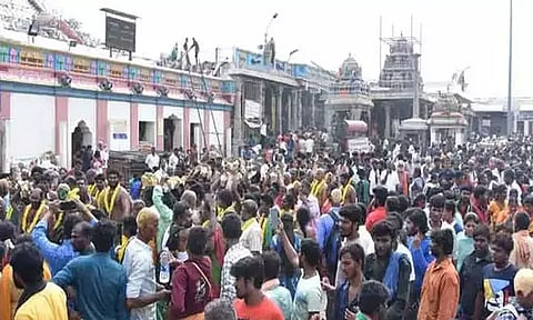 பழனி முருகன் கோவிலில் தைப்பூச திருவிழா வரும்19-ந் தேதி கொடியேற்றத்துடன் தொடங்குகிறது