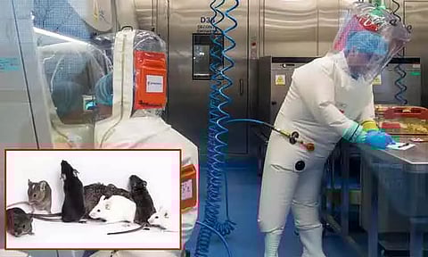 100% மனிதர்களை கொல்ல கூடிய கொடிய வைரசை வைத்து ஆய்வு; சீனாவின் திட்டம் என்ன...?