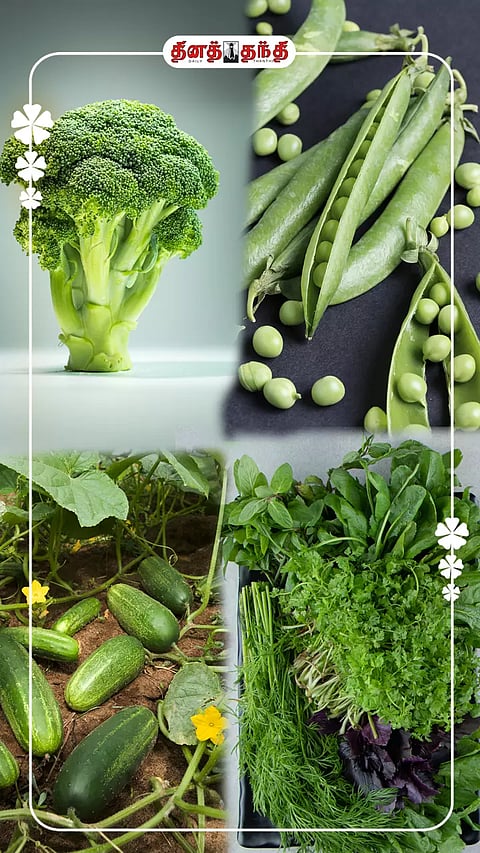 பச்சை இலை, காய்கறிகளின் நன்மைகள்..!