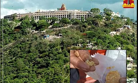 பழனி முருகன் கோவிலில் உணவு பாதுகாப்புத்துறை அதிகாரிகள் ஆய்வு