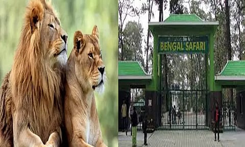 'அக்பர் - சீதா' சிங்கங்கள் ஒரே இடத்தில் இருக்க கூடாது: விஷ்வ இந்து பரிஷத் கோர்ட்டில் வழக்கு