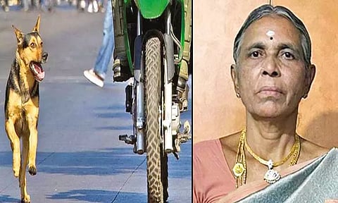 தெருநாய்கள் துரத்தியதால் மோட்டார்சைக்கிளில் இருந்து தவறி விழுந்த பெண் உயிரிழப்பு