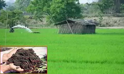 தமிழ்நாடு வேளாண் பட்ஜெட் 2024-25... மண்ணுயிர் காத்து மன்னுயிர் காப்போம் திட்டம் அறிமுகம்