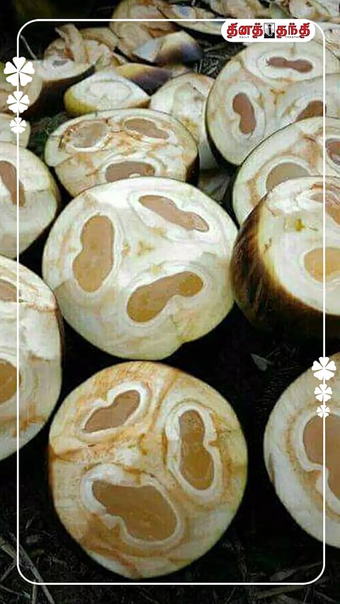 நோய் தீர்க்கும் குணங்கள் கொண்ட நுங்கு..!