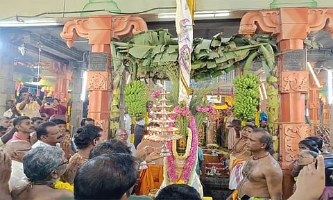 மேலப்புதுக்குடி அருஞ்சுனை காத்த அய்யனார் கோவில் பங்குனி உத்திர திருவிழா