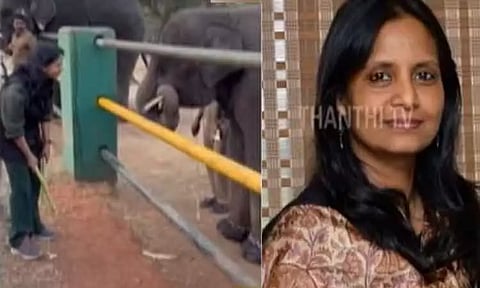 ஆஸ்கார் புகழ் ரகு-பொம்மி யானைகளை பார்வையிட வாருங்கள் - சுற்றுலா பயணிகளுக்கு வனத்துறை செயலாளர் அழைப்பு