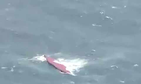 ஜப்பான் அருகே தென் கொரிய சரக்கு கப்பல் மூழ்கியது- 7 பேர் மாயம்