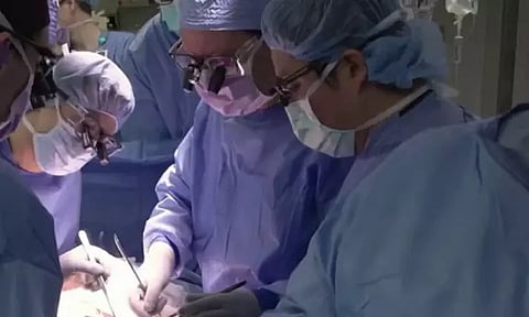 மரபணு மாற்றப்பட்ட பன்றியின் சிறுநீரகத்தை மனிதனுக்கு பொருத்தி அமெரிக்க மருத்துவர்கள் சாதனை