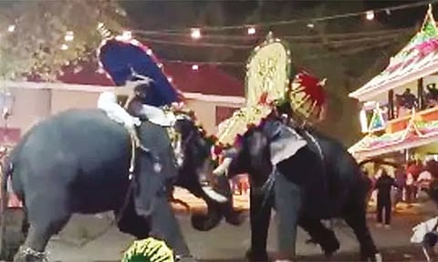 கோவில் விழாவில் ஆக்ரோஷமாக மோதிய யானைகள்: பக்தர்கள் அலறியடித்து ஓட்டம்