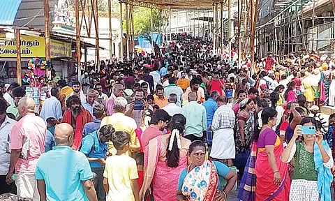 திருச்செந்தூர் கோவிலில் பங்குனி உத்திர திருவிழா: திரளான பக்தர்கள் சாமி தரிசனம்