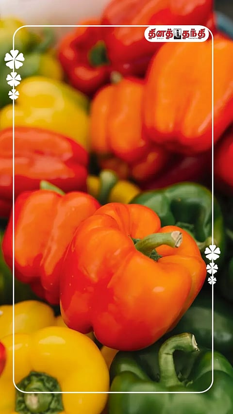 குடைமிளகாய் சாப்பிடுவதால் ஏற்படும் நன்மைகள்..!