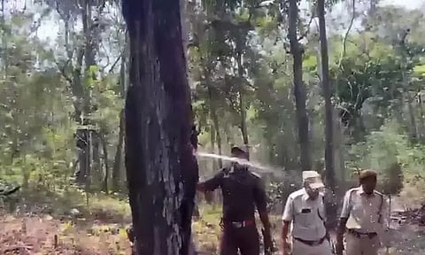 ஆந்திராவில் மரத்தில் இருந்து தண்ணீர் கொட்டும் அதிசயம் - வீடியோ வைரல்