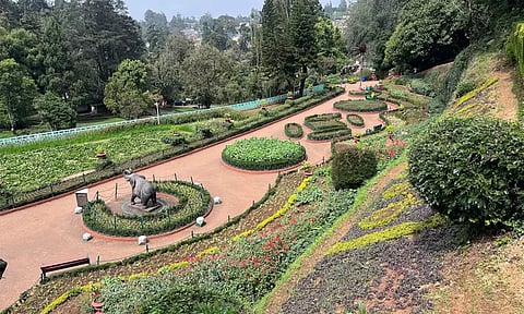 கோடை சீசன்: ஊட்டி அரசு தாவரவியல் பூங்காவில் சினிமா படப்பிடிப்புக்கு தடை