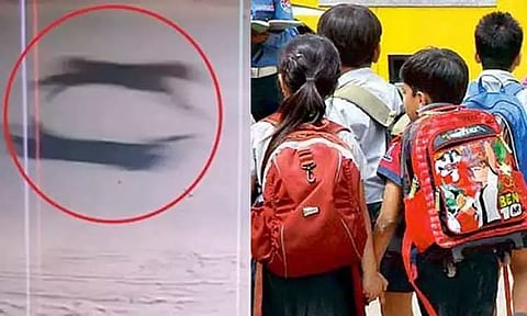 சிறுத்தை நடமாட்டம்: மயிலாடுதுறையில் 9 பள்ளிகளுக்கு இன்று விடுமுறை