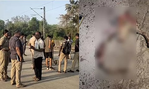 மயிலாடுதுறையில் மேலும் ஒரு ஆட்டை அடித்துக் கொன்ற சிறுத்தை