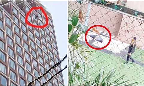 19-வது மாடியில் இருந்து குதித்து சேலம் வாலிபர் தற்கொலை - பெங்களூருவில் பரபரப்பு