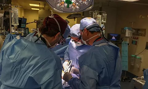 பன்றியின் சிறுநீரகம் பொருத்தப்பட்ட நபர் குணமடைந்து வீடு திரும்பினார்.. உறுப்பு மாற்று சிகிச்சையின் எதிர்காலம் இதுதானா?