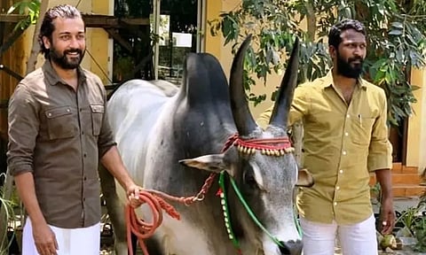 சூர்யாவின் 'வாடிவாசல்' படம் குறித்த புரளிகளுக்கு முற்றுப்புள்ளி வைத்த இயக்குனர் வெற்றிமாறன்