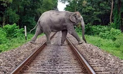 கோப்புப்படம்