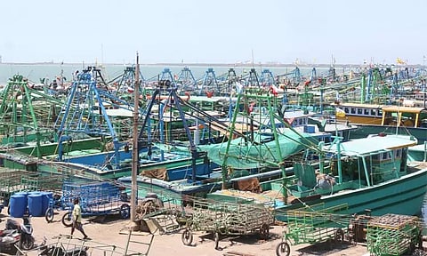 தமிழகத்தில் 15-ந்தேதி முதல் மீன்பிடி தடைக்காலம் அமல்