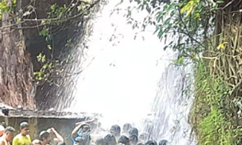 பாபநாசம் அகஸ்தியர் அருவியில் ஆர்ப்பரித்துக் கொட்டும் தண்ணீர் -சுற்றுலா பயணிகள் உற்சாகம்