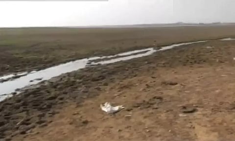 ஏரிகளில் வேகமாக சரியும் நீர்மட்டம்.. கோடையை சமாளிக்குமா சென்னை?