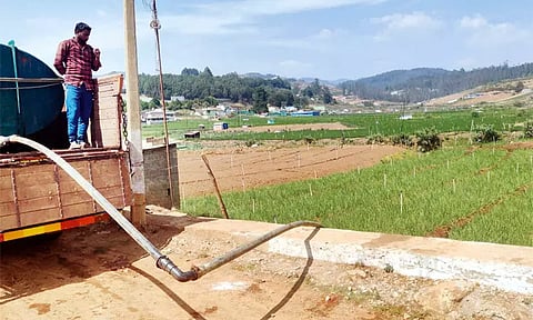 நீலகிரியில் 8 ஆண்டுகளுக்கு பிறகு கடும் வறட்சி: பயிர்களை காப்பாற்ற லாரிகளில் தண்ணீர் கொண்டு வந்து பாய்ச்சும் அவலம்