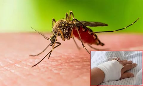 வெஸ்ட் நைல் வைரஸ் பரவல் - தமிழக சுகாதாரத்துறை சார்பில் வழிகாட்டு நெறிமுறைகள் வெளியீடு