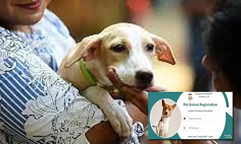 திடீரென முடங்கிய சென்னை மாநகராட்சி இணையதளம்