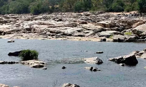 கோப்பு படம்