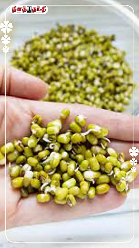 முளைகட்டிய பயறு சாப்பிடுவதால் இவ்வளவு நன்மைகளா ?