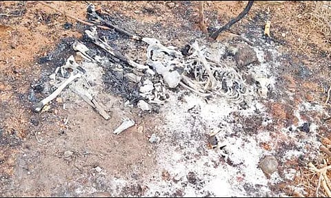 எரிந்த நிலையில் கிடந்த மனித எலும்புக்கூடு: பழனியில் பரபரப்பு