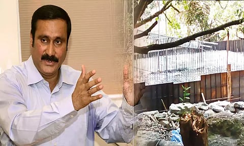 சிலந்தி ஆற்றின் குறுக்கே கேரள அரசு தடுப்பணை: அன்புமணி ராமதாஸ் கடும் கண்டனம்